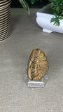 Tiger Eye Indian Head