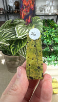 Atlantisite points