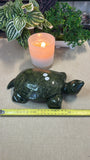Green Jade Turtle