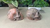 Leopard Skin Jasper Skulls