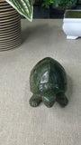 Green Jade Turtle