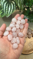 Rose quartz tumbles small