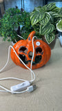 Pumpkin USB Light