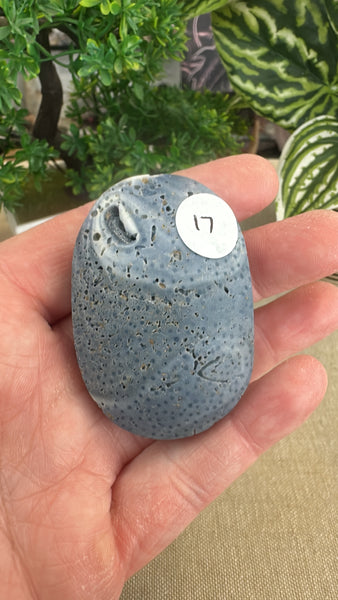 Blue Coral Fossil Palm Stone