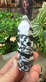 Zebra Jasper