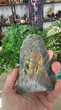 Labradorite Slices