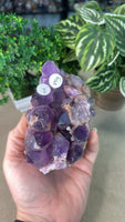 Amethyst Cluster