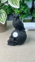 Obsidian Skull with Owl - (1)