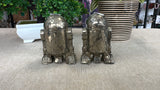 Pyrite R2-D2