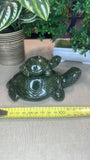 Green jade turtle with baby