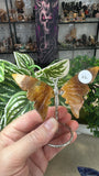 Small Butterfly Wings