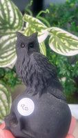 Obsidian Skull with Owl - (1)