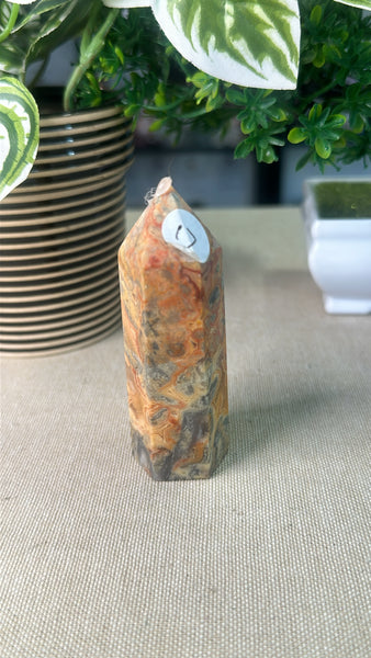 Crazy Lace Agate Point