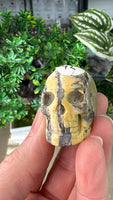 Bumble Bee Jasper Skull