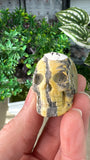 Bumble Bee Jasper Skull