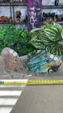Labradorite Slices