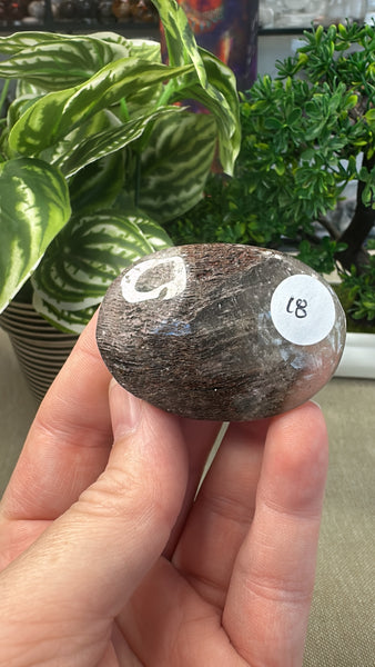 Thousand Layer Palm Stone