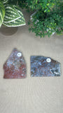 Ocean Jasper Slices