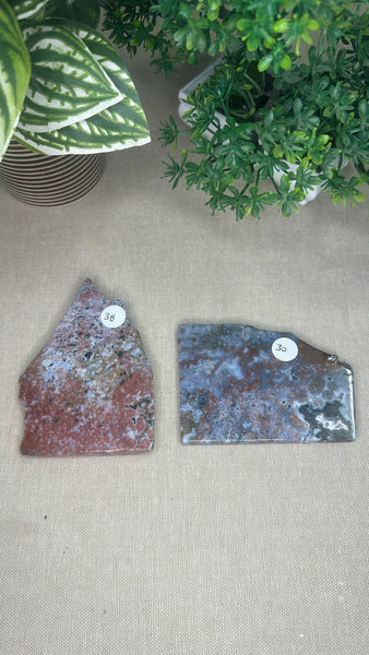 Ocean Jasper Slices