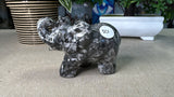 Fossil Stone Elephant