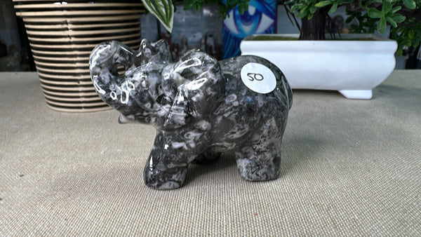 Fossil Stone Elephant