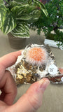 Thomsonite