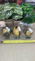 Septarian Spheres