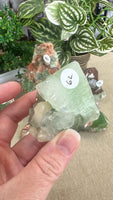 Green Apophyllite (watermelon apophyllite)