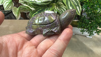 Atlantisite turtle
