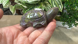 Atlantisite turtle