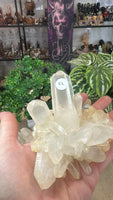 Clear Quartz Clusters