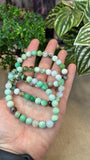 Chrysoprase Bracelets 8mm