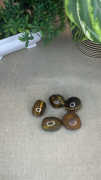 Tiger eye tumble stones medium