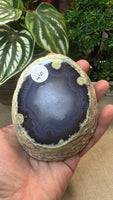 Agate enhydro