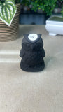 Obsidian Owl