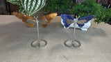 Small Butterfly Wings