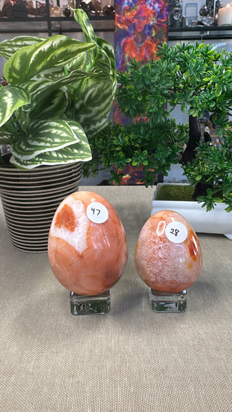 Carnelian Eggs