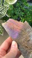 Purple Flash Labradorite half polished half raw