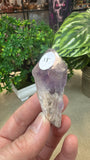 Small Amethyst Sceptres