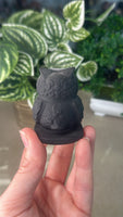 Obsidian Owl