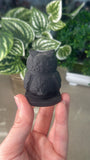 Obsidian Owl