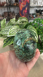 African turquoise skull