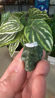 Mixed Skulls