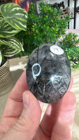 Black tourmaline in Quartz Palm stones