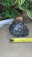 Larvikite Skull