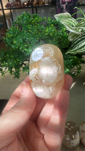 Flower agate palm stones