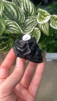 Obsidian Skull with snakes