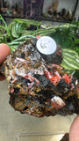 Crocoite from Red Lead Mine