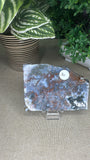 Ocean Jasper Slices
