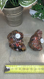 Crocoite from Red Lead Mine